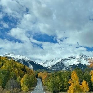 Meet your Posher, Holly